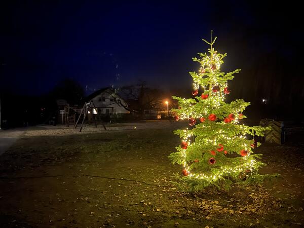 Weihnachtsbaum auf dem Alt Golmer Spielplatz