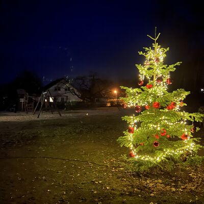 Bild vergrößern: Weihnachtsbaum auf dem Alt Golmer Spielplatz