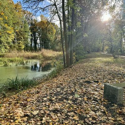 Bild vergrößern: Schlosspark Birkholz am Teich