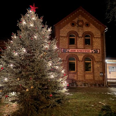 Bild vergr&ouml;&szlig;ern: Weihnachtsbaum G&ouml;rzig 2023