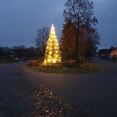 Bild vergrößern: Weihnachtsbaum Herzberg