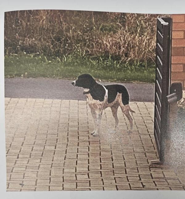 Bild vergr&ouml;&szlig;ern: Screenshot_20241001_093015_WhatsApp