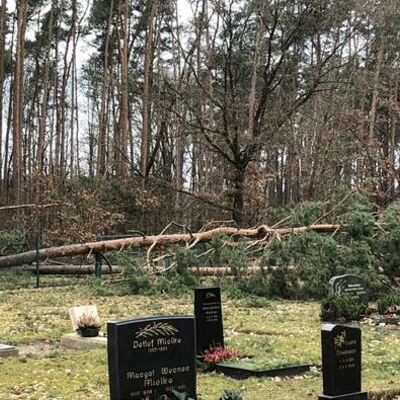 Bild vergrößern: 20220219 - Sturmschaden Friedhof 2