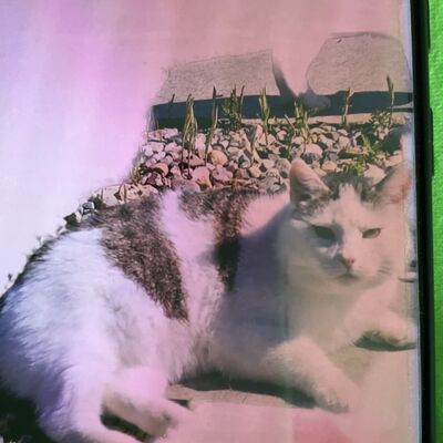 image0