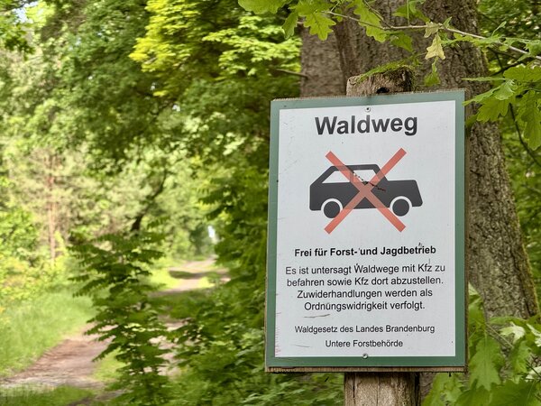 Bild vergr&ouml;&szlig;ern: IMG_4944