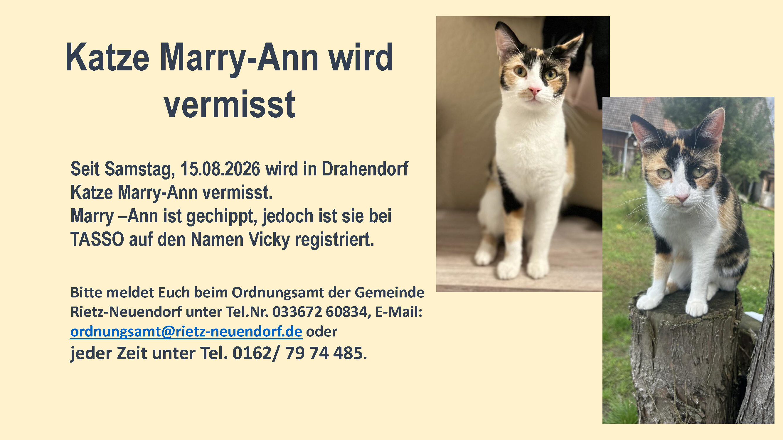 Bild vergr&ouml;&szlig;ern: Suchanzeige_Drahendorf