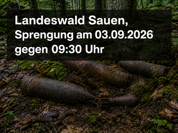 Bild vergr&ouml;&szlig;ern: 5d4021d4-4b4e-40d2-aac0-256024b28728