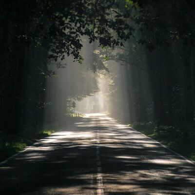 Bild vergr&ouml;&szlig;ern: road-2508733_1920